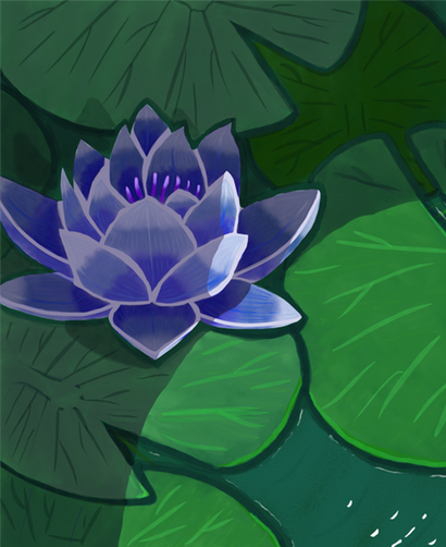Lotus Lotus